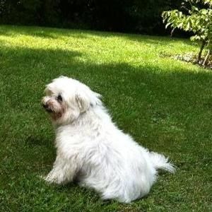 Meet your Posher, Gina